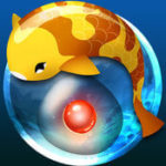 zen_koi