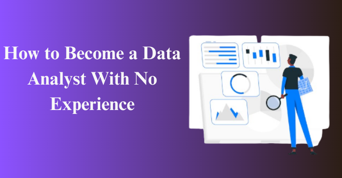 How to Become a Data Analyst With No Experience